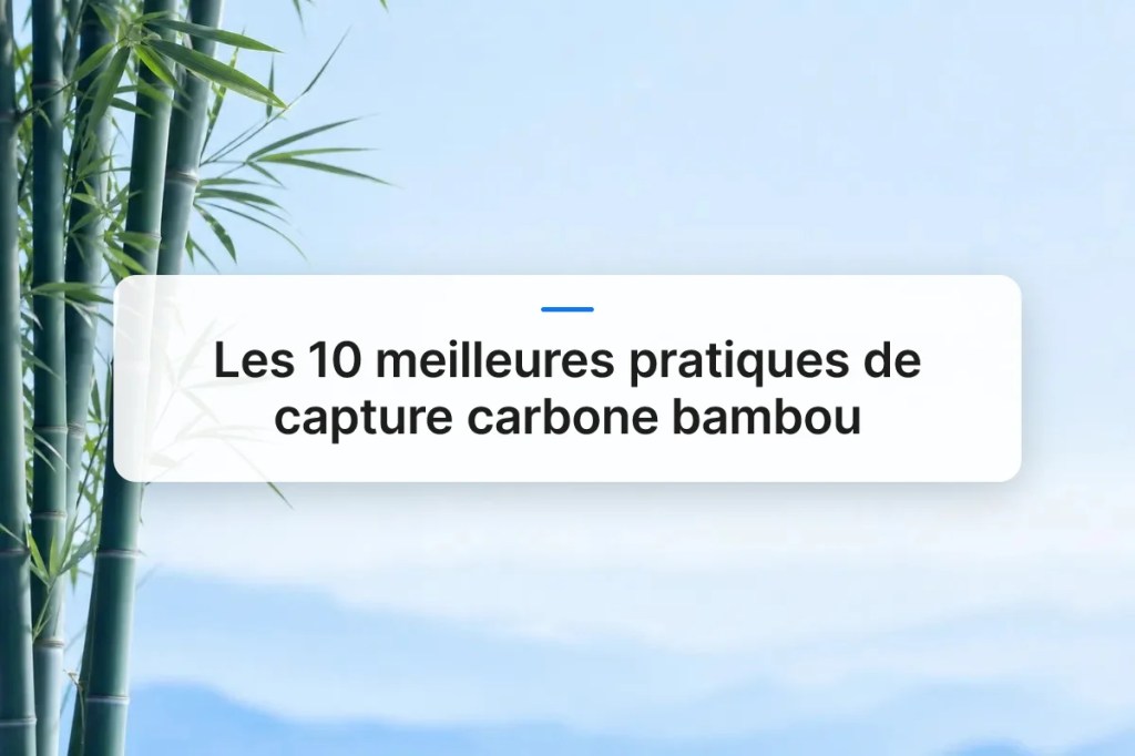Les 10 meilleures pratiques de capture carbone&nbsp;bambou