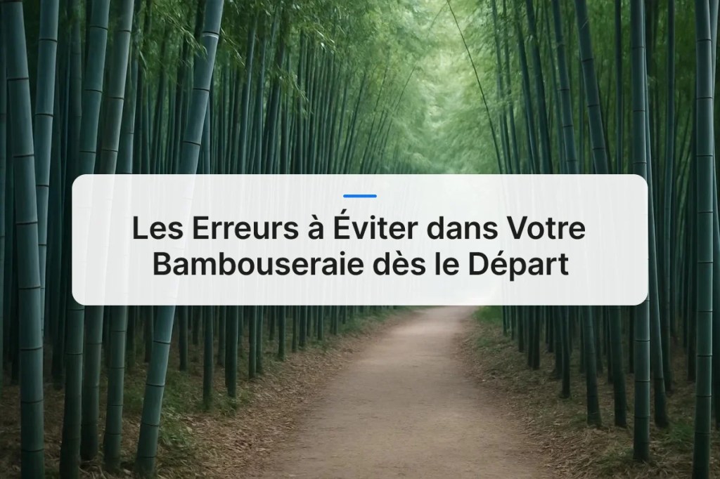 Les Erreurs à Éviter dans Votre Bambouseraie dès le&nbsp;Départ