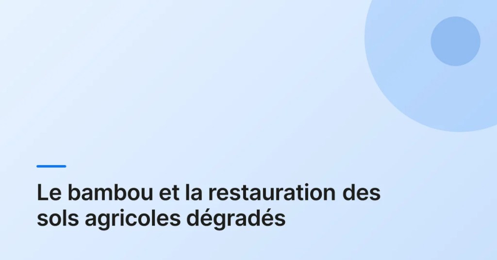 Le Guide du Bambou pour la Restauration des Sols&nbsp;Dégradés