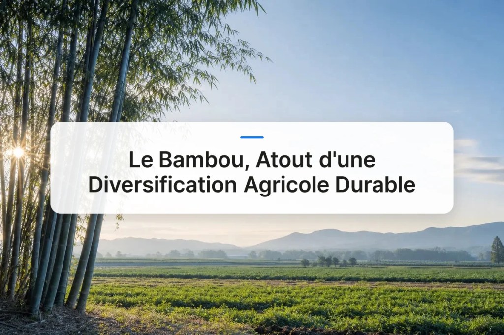 Le Bambou, Atout d&rsquo;une Diversification Agricole&nbsp;Durable